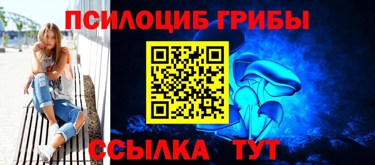 Галлюциногенные грибы Psilocybe  магазин продажи   Сокол  Вход с VPN 